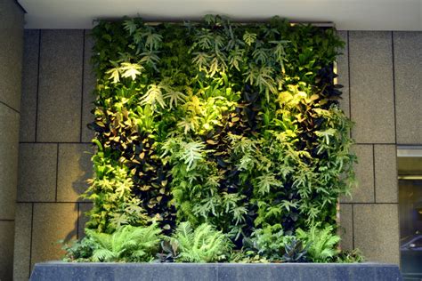 Possibly a standout amongst the most famous decorative plants, the larger part of philodendrons are regularly living in the upper spans of trees in tropical forests. Plants On Walls vertical garden systems: December 2012