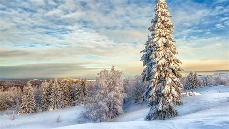 2560x1440 Winter Landscape With Snow Covered Trees 1440p Resolution