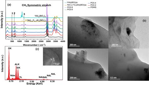 A Raman Spectra Of Pristine Pdms Black Curve And Pdms Nanocomposite