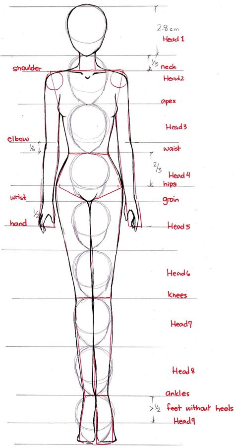 Female Body Sketch Template