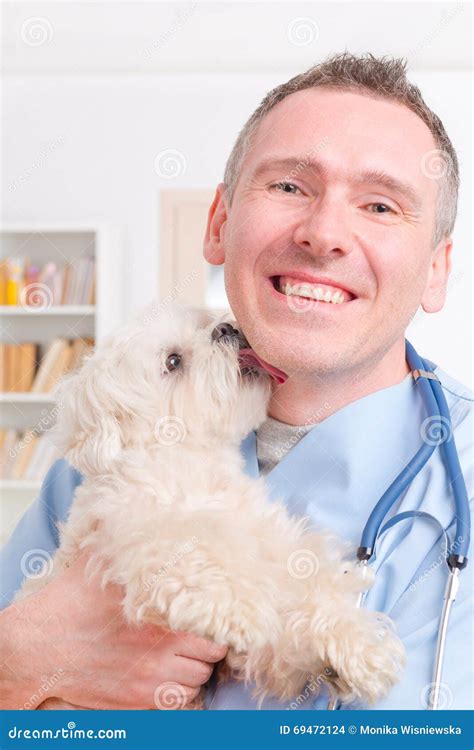 Happy Vet Holding A Little Dog Stock Photo Image Of Cute Cheerful