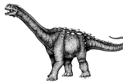Jobaria Pictures And Facts The Dinosaur Database