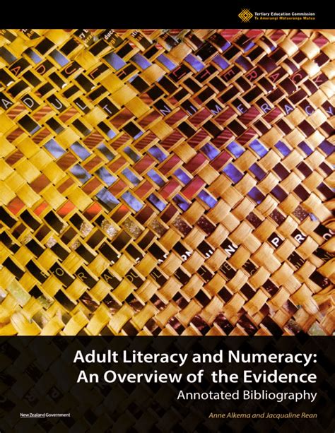 Adult Literacy And Numeracy An Overview Of The Evidence Hot Sex Picture