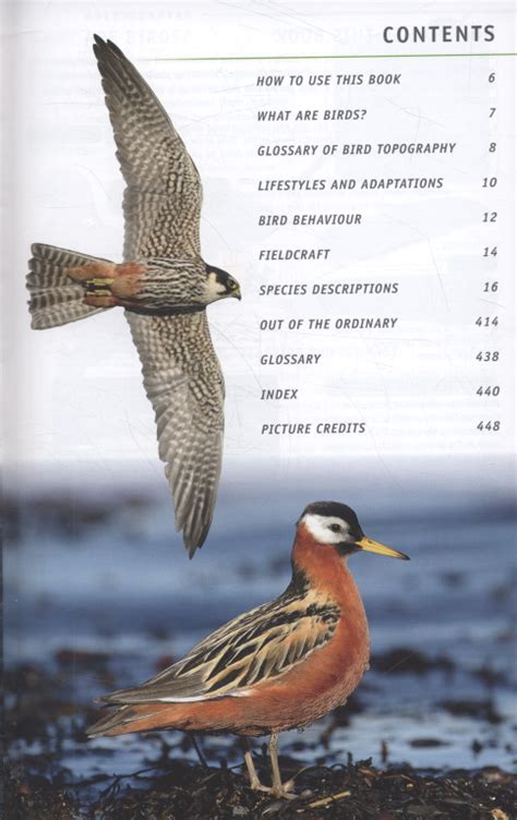Field Guide To Birds Of Britain And Europe By British Trust For
