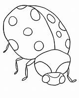 Coloring Pages Bug Spring Print sketch template