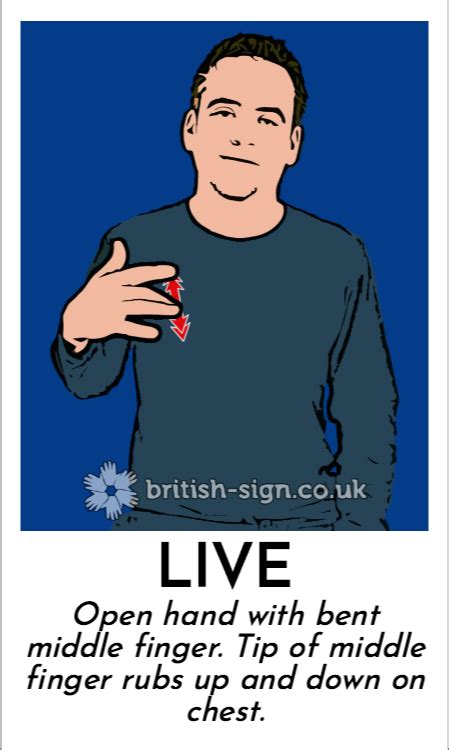Live In British Sign Language Bsl