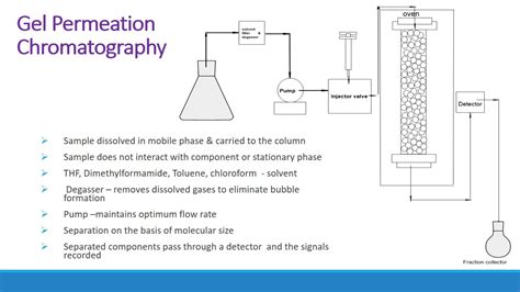Top 127 Gel Filtration Chromatography Animation Lestwinsonline Com