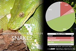 CHART: The world's most endangered snakes