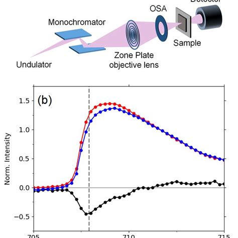 A Schematic Diagram Of The Experimental Setup For Scanning