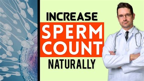How To Increase Sperm Count Motility Male Fertility Naturally Fruits Youtube