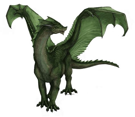 Green Dragon Dragons Photo 21749708 Fanpop