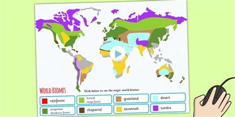 Interactive World Biomes Map Powerpoint Climates Geography Twinkl