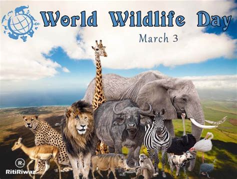 World Wildlife Day 3rd March Ritiriwaz