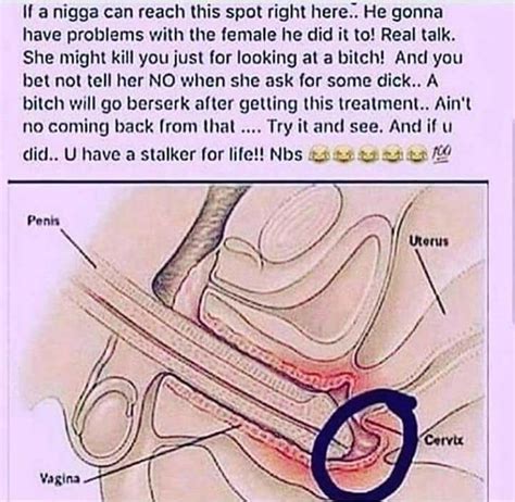 Cock In Cervix Diagram Telegraph