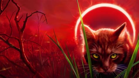 Warrior Cats Wallpapers And Backgrounds 4k Hd Dual Screen