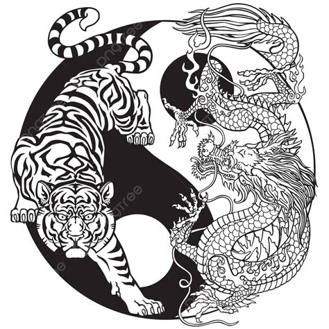 Black And White Yin Yang Of Tiger And Dragon Vector Harmony Opposite