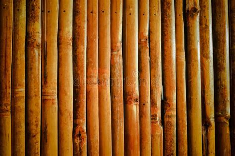 Bamboo Wall Stock Image Image Of Brown Bark Outdoor 18162937