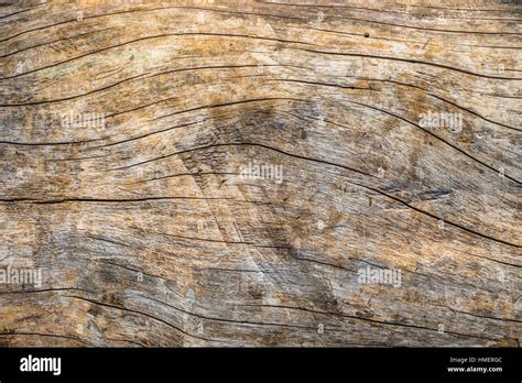 Curved Wooden Texture Hi Res Stock Photography And Images Alamy