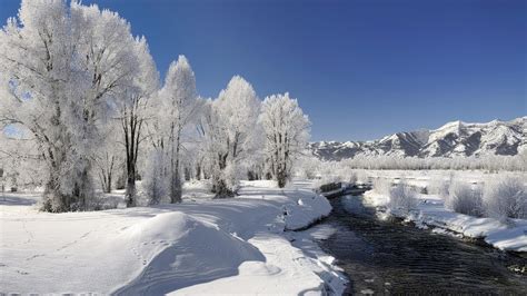 1920x1080 1920x1080 Trees Nature Winter Ice River