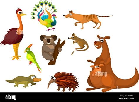 vector illustration of a cute Australian animals Stock Vector Image