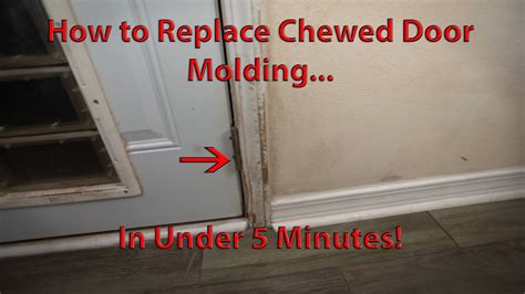 Replacing Interior Door Frame Molding Cabinets Matttroy