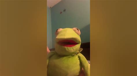 Kermit Has Been Through A Lot Youtube