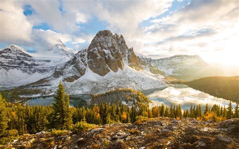 Fall Foliage In Mount Assiniboine Provincial Park British Columbia