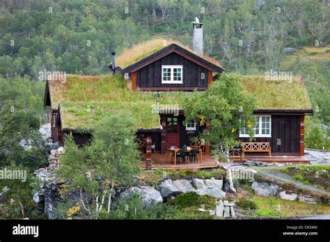 Cottage Norway Yes Dezain