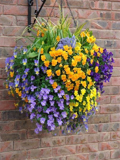 The 15 best spring flowers for a bright, beautiful garden. 372 best Hanging Flower Baskets images on Pinterest ...