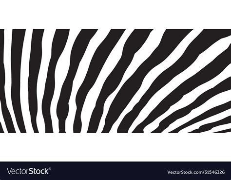 Wild Zebra Wave Pattern With Black And White Vector Image