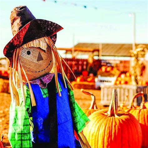 8 Sights To See At Fall Harvest Festivals The Franklin Shopper