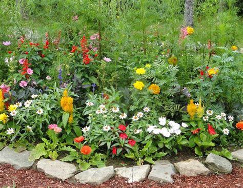Home Gardening Flowers And Vegetables Ideas Freshnist Design