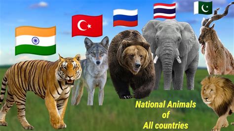 National Animals Of Countries L Flags And Countries Name With National