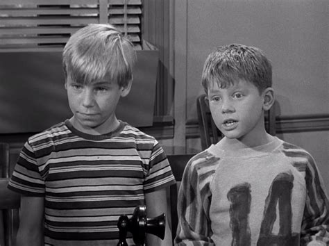 Andy And Opies Pal Mayberry Wiki Fandom