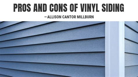 Pros And Cons Of Vinyl Siding — Allison Cantor Millburn Vinyl Siding