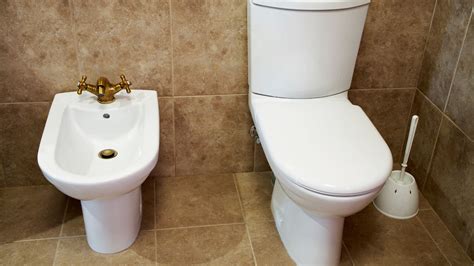 Toilet Bidet Combo Kohler Toilet Cleaning Clogged Toilet Vinegar Cleaning