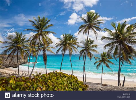 Barbados Bottom Bay Stock Photo Alamy