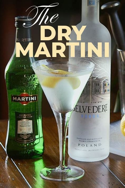 How To Make A Dry Martini Dry Martini Dry Vodka Martini Dry Martini