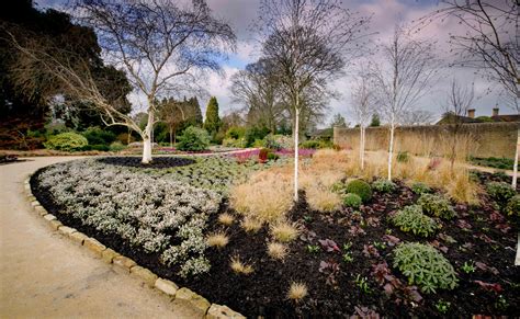 Wakehurst's Winter Garden flourishes one year on: Top tips on how to ...