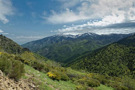 Forested Mountains At Col De Mantet Pyrenees Orientales Photos Prints