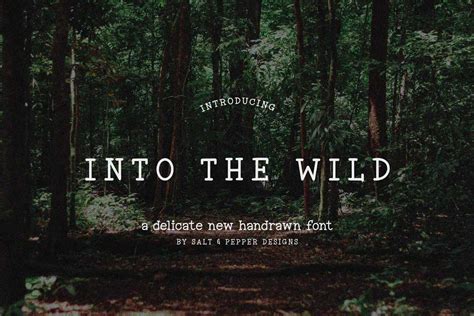 Into The Wild Font Dfonts