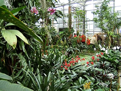 The botanischer garten chemnitz is a municipal botanical garden located at leipziger straße 147, chemnitz, saxony, germany. Fotogalerie - Fotos, Bilder, Ansichten aus dem Erzgebirge