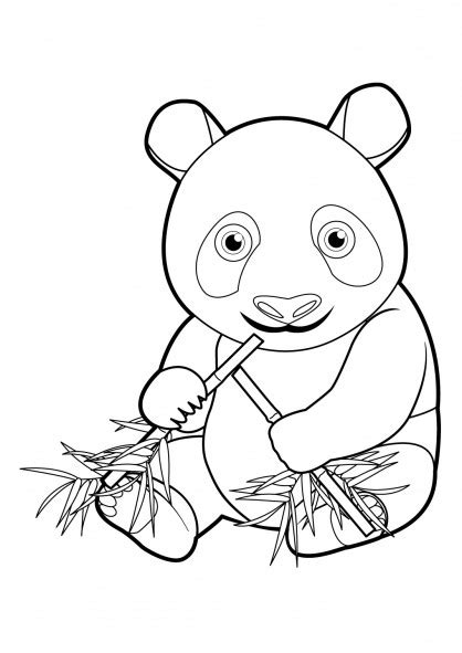 Coloriage Bébé Panda Dessin Gratuit à Imprimer