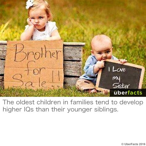 Study Older Siblings Have Higher Iqs Older Siblings Baby Memes