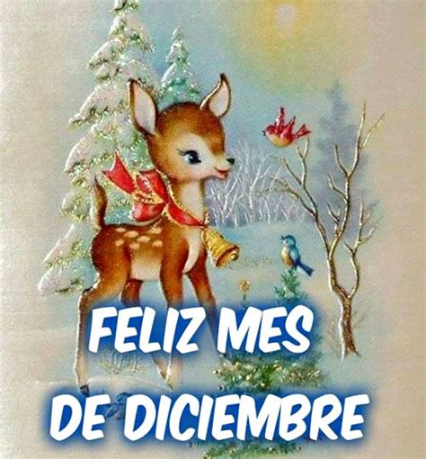 54 imágenes tarjetas y carteles de bienvenido diciembre hola diciembre y hello december
