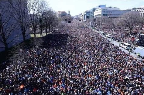 Millions March Across America For Trump Xyz