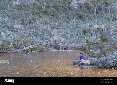 Bushwalkers And Heavy Frost On Flynns Tarn Cradle Mountain Lake St