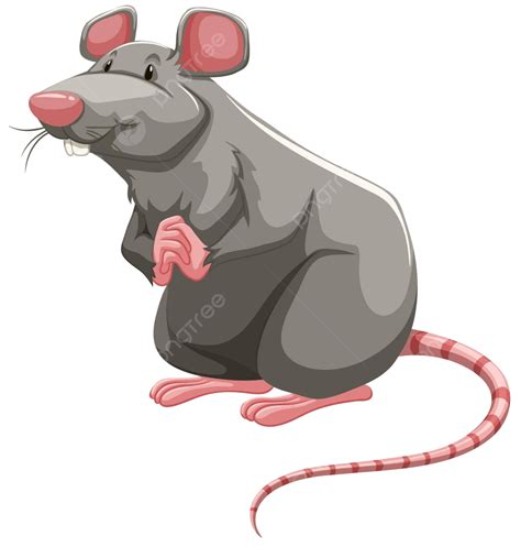 Grey Rat Alone Picture Design Vector Alone Picture Design Png And