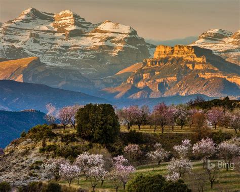 Springtime Near The Village Spain 2017 Bing Desktop Wallpaper Preview