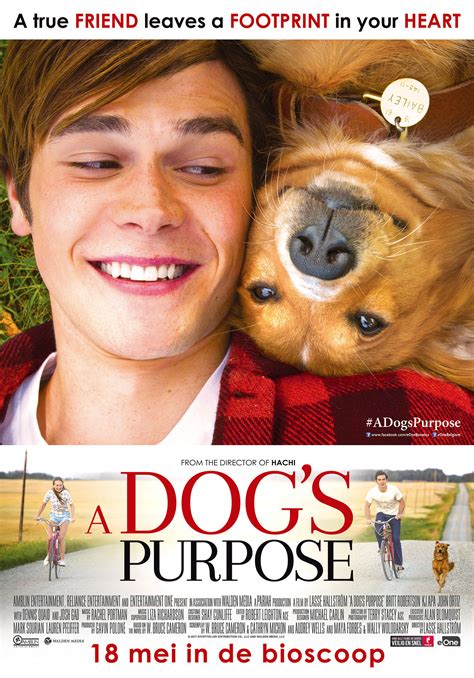 A Dogs Purpose Teaser Trailer
